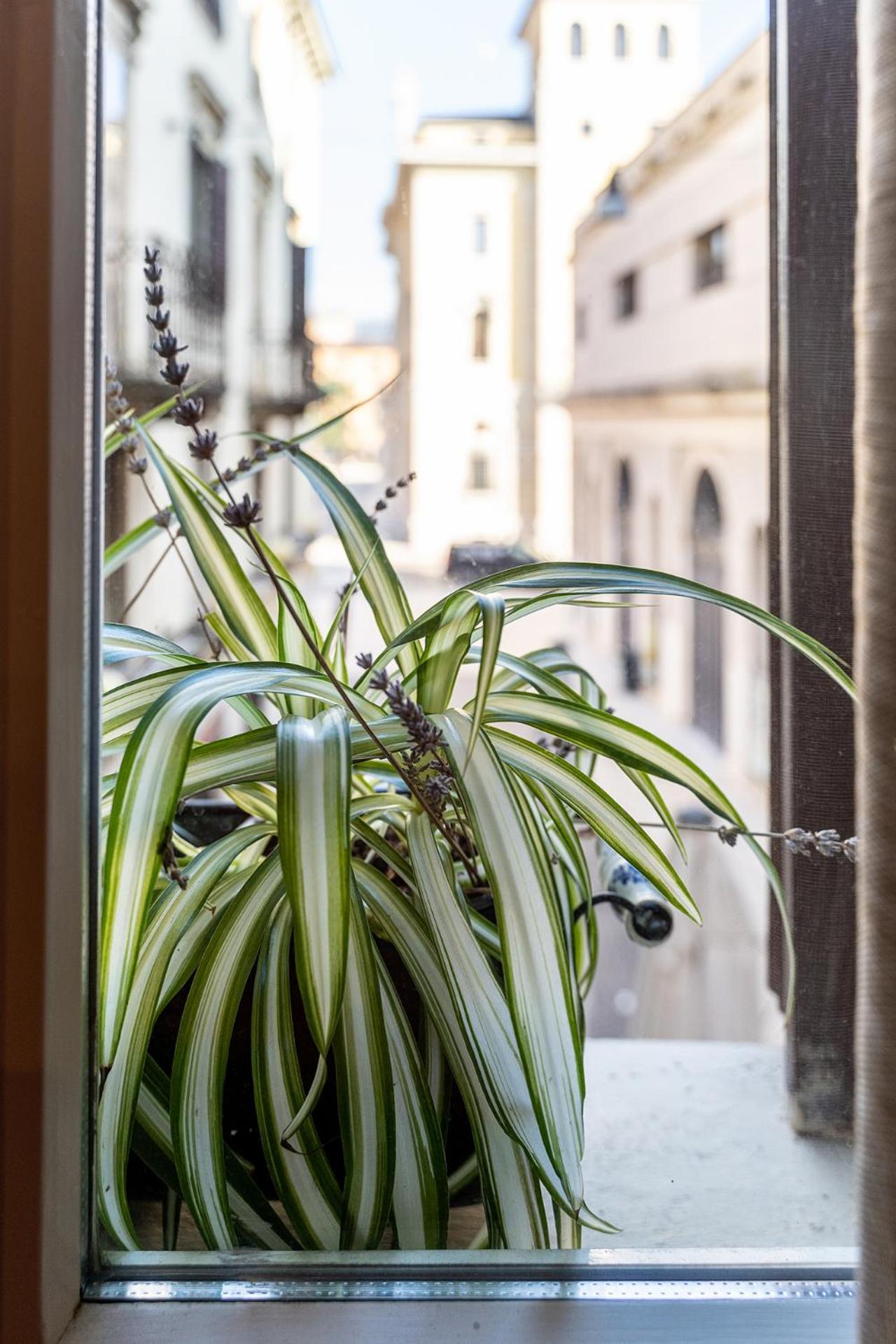 Appartement Dependance Cara Giulietta à Vérone Extérieur photo